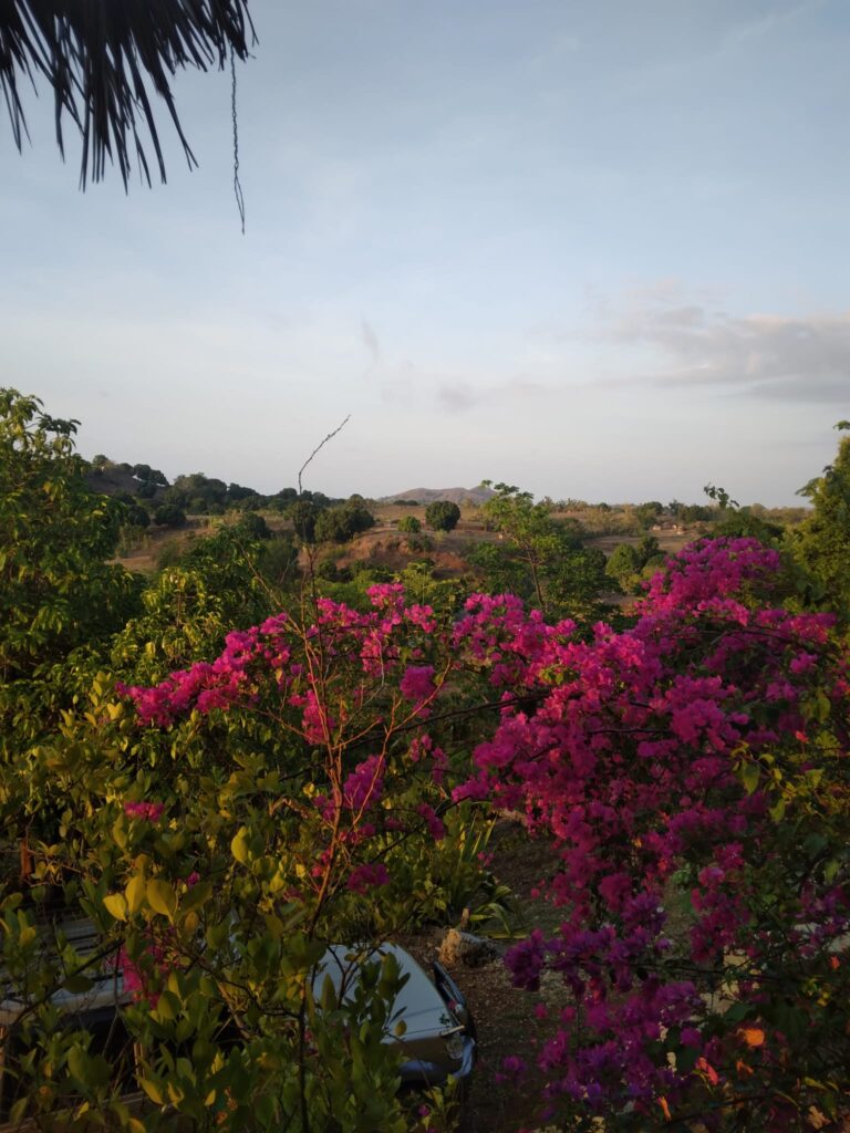 Villa bougainvilliers - galerie