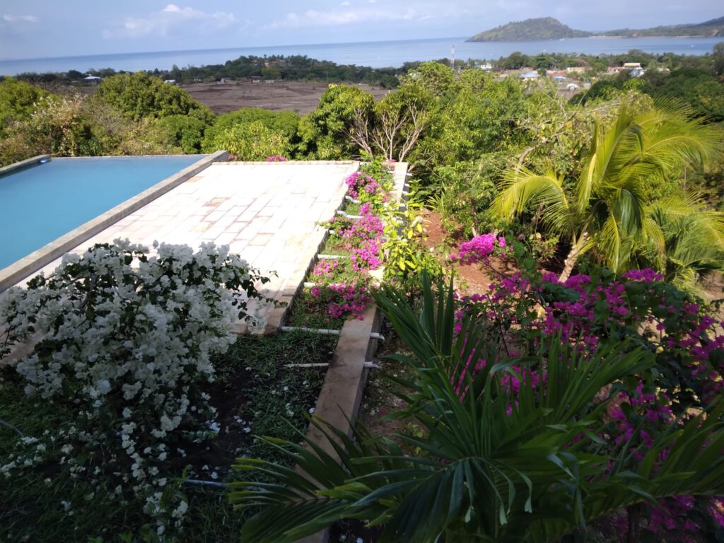 Piscine vue de la villa